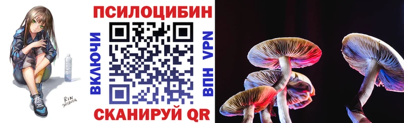 Псилоцибиновые грибы Psilocybine cubensis  Севск 